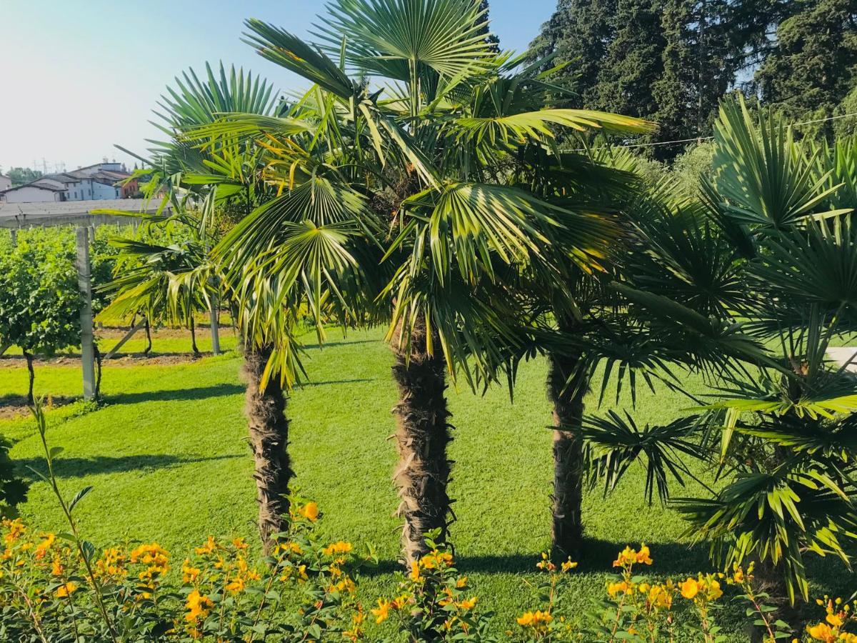 Residenza Eden Konuk evi Colà Dış mekan fotoğraf