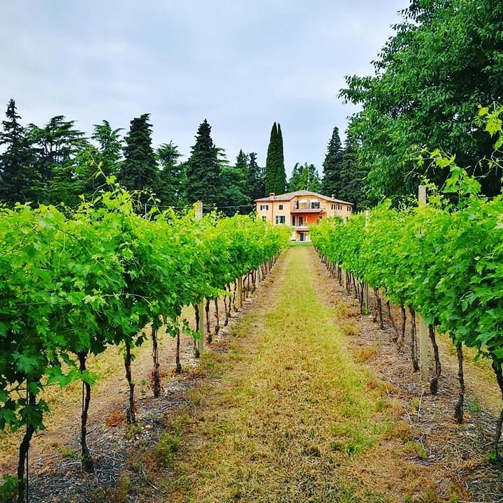 Residenza Eden Konuk evi Colà Dış mekan fotoğraf